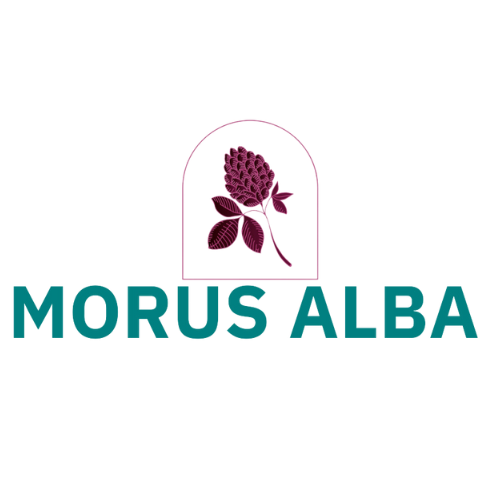 Morus Alba